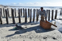 DSC_9198 (950x586)