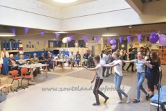 DSC_1956 (950x623)