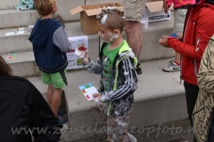 DSC_1919 (950x633)