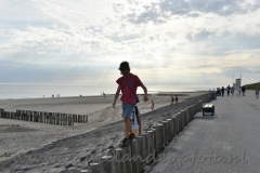 DSC_0764 (950x632)