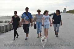 DSC_0767 (950x632)