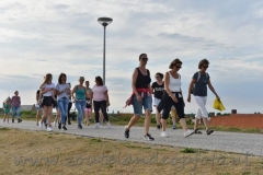 DSC_0773 (950x632)