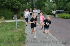 DSC_0801 (950x632)