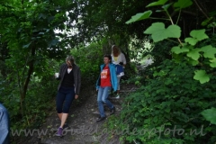 DSC_9832 (950x632)
