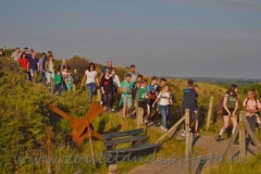 DSC_9430 (950x632)