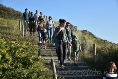 DSC_9441 (950x632)