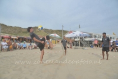 batch_ACE_0268