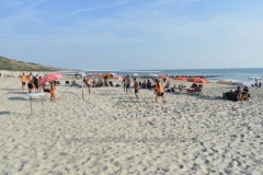 DSC_2986 (950x609)