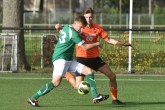 DSC_5055 (950x634)