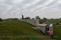 DSC_4201 (950x632)