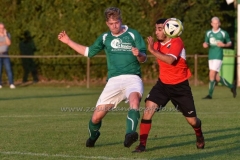 DSC_6064 (950x632)