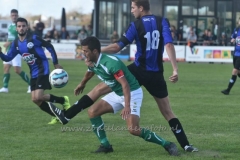 DSC_5259 (950x633)