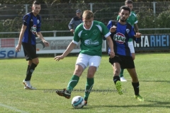 DSC_5309 (950x633)
