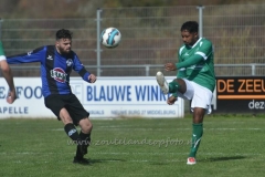 DSC_5338 (950x633)