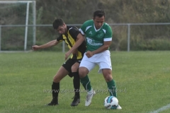 DSC_3089 (950x632)
