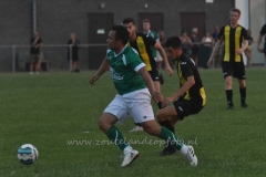 DSC_3152 (950x633)