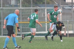 DSC_3158 (950x632)