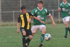 DSC_3168 (950x616)