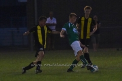 DSC_3220 (950x633)