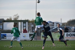 DSC_7096 (950x632)