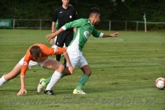 DSC_6102 (950x632)