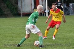 DSC_6793 (950x634)