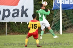 DSC_6849 (950x633)