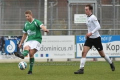 DSC_3132 (950x631)