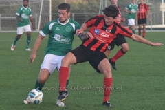 DSC_4235 (950x633)