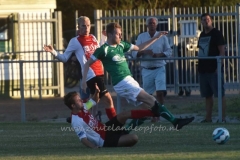 DSC_3742 (950x634)