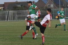 DSC_3785 (950x633)