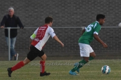 DSC_3790 (950x634)