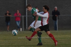 DSC_3795 (950x633)