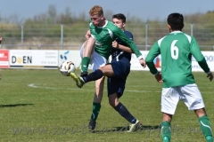 DSC_7945 (950x634)