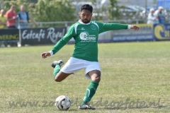 DSC_9205 (950x634)