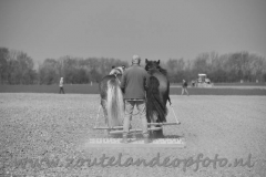 DSC_8524 (950x632)
