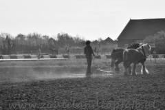 DSC_5737 (950x687)