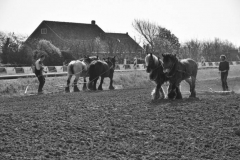DSC_5745 (950x632)