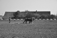 DSC_5761 (950x632)