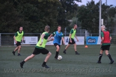 DSC_3599 (950x611)