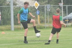 DSC_2388 (950x687)
