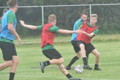 DSC_2407 (950x686)