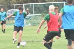 DSC_2450 (950x687)