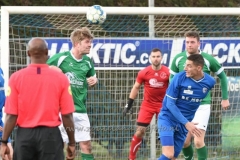 DSC_5909 (950x633)