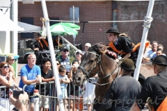 DSC_3535 (950x632)