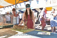 DSC_3644 (950x632)