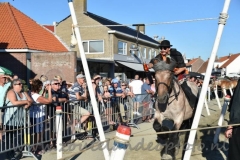 DSC_3822 (950x632)