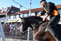 DSC_3833 (950x632)