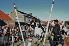 DSC_3835 (950x632)