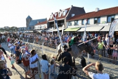 DSC_3878 (950x632)